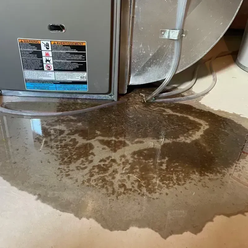 Appliance Leak Cleanup in Saint Joseph, LA